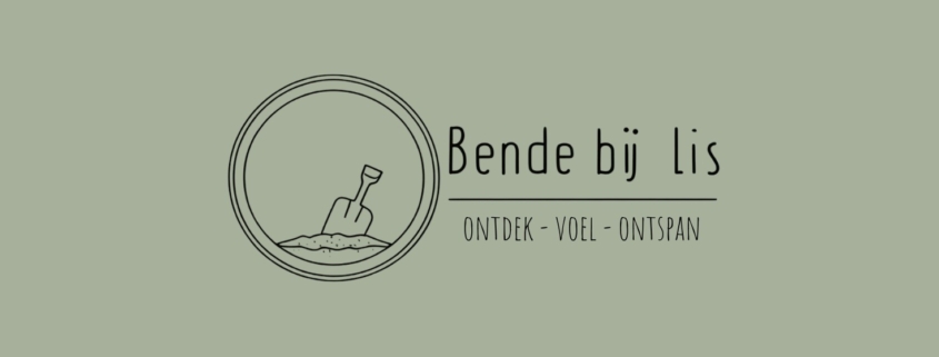 Speelcafé Bende bij Lis